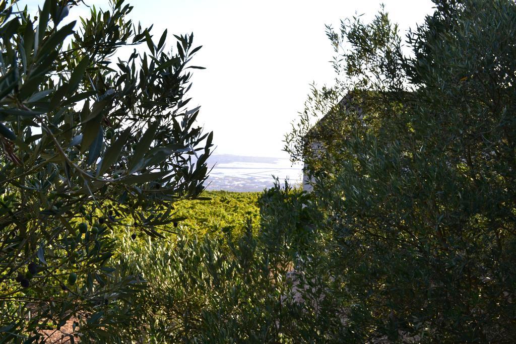 Maison d'hôtes Casa Nel Vigneto Erice Extérieur photo
